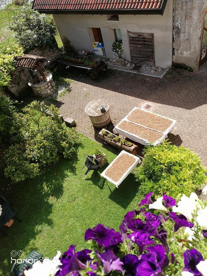Agriturismo Antica Pieve Limana Extérieur photo